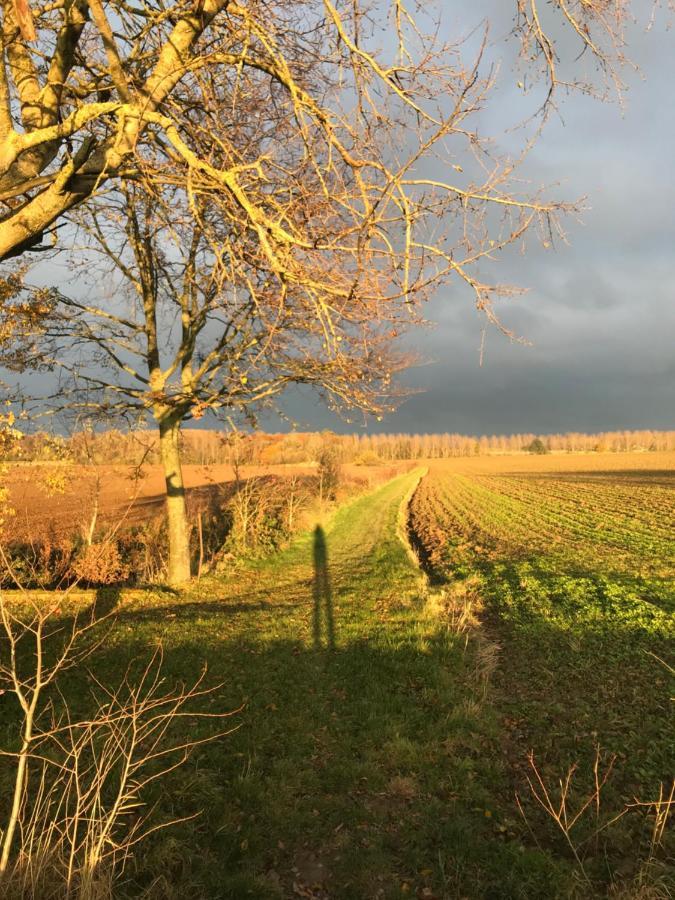 La Suite Cosy - Votre Pause Arboree La Bruyere Eksteriør billede