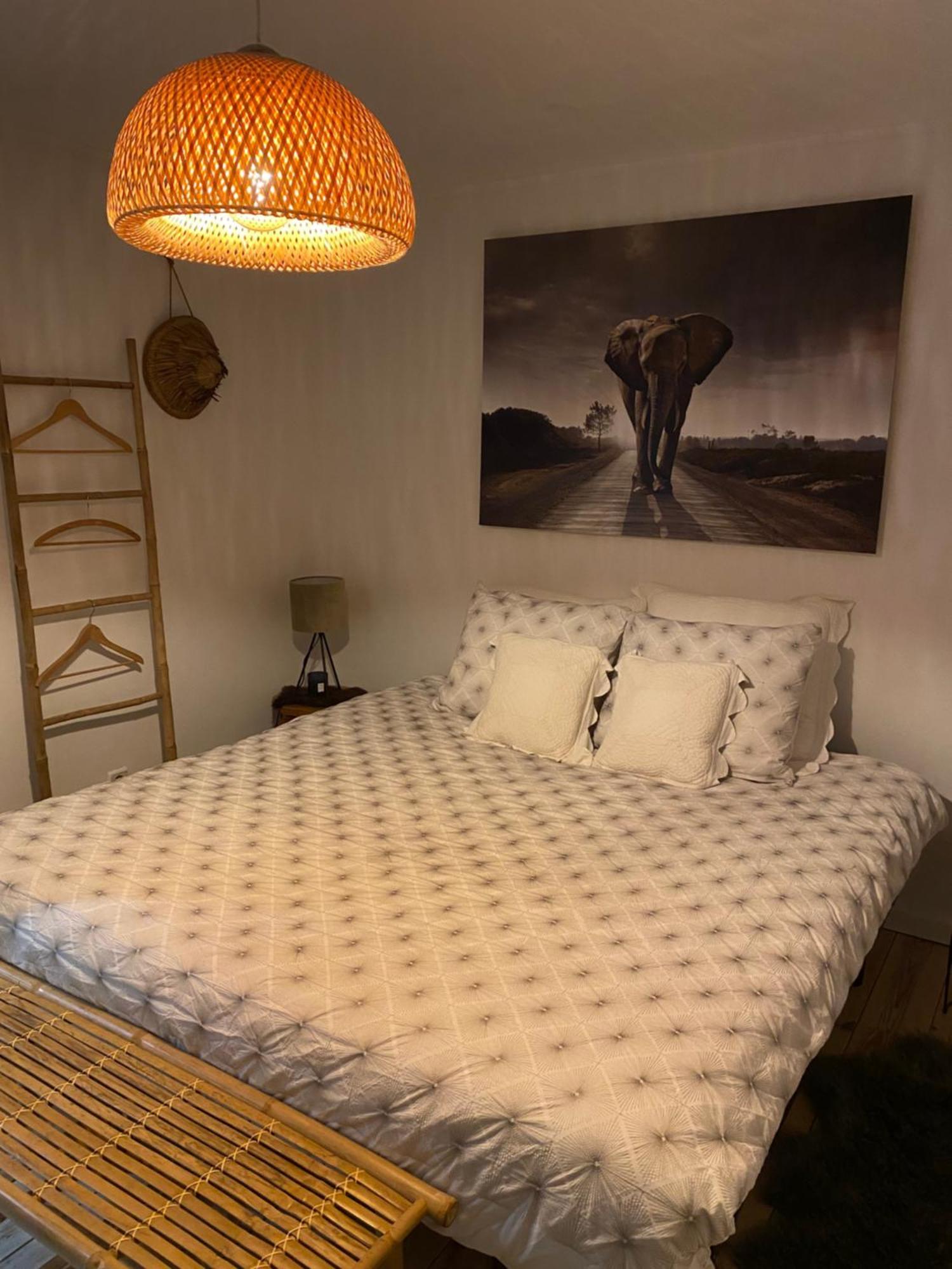 La Suite Cosy - Votre Pause Arboree La Bruyere Eksteriør billede